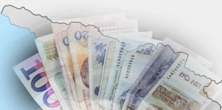 Euronews: საქართველოში სახელმწიფო პენსია ცხოვრების საჭირო ხარჯების 22%-ს ფარავს, რაც ყველაზე დაბალი მაჩვენებელია ევროპაში