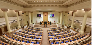 ბოლო 2 წელში პარლამენტმა დაჩქარებული წესით დაამტკიცა 300-ზე მეტი რეპრესიული კანონი – საია