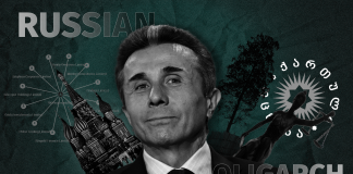 ბიძინა ივანიშვილის პოლიტიკური ხელმძღვანელობა და არაფორმალური ძალაუფლების სისტემა: საქართველოს დემოკრატიული უკუსვლის მიზეზები და შედეგები