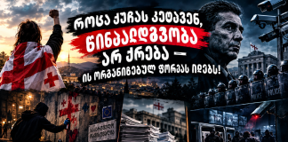 წინააღმდეგობა არ მთავრდება — ის ორგანიზებულ ფორმას იღებს!
