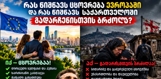 რას ნიშნავს ცხოვრება ცივილიზებულ, დემოკრატიულ ქვეყანაში და რას ნიშნავს დღეს საქართველოში გადარჩენისთვის არსებობა?